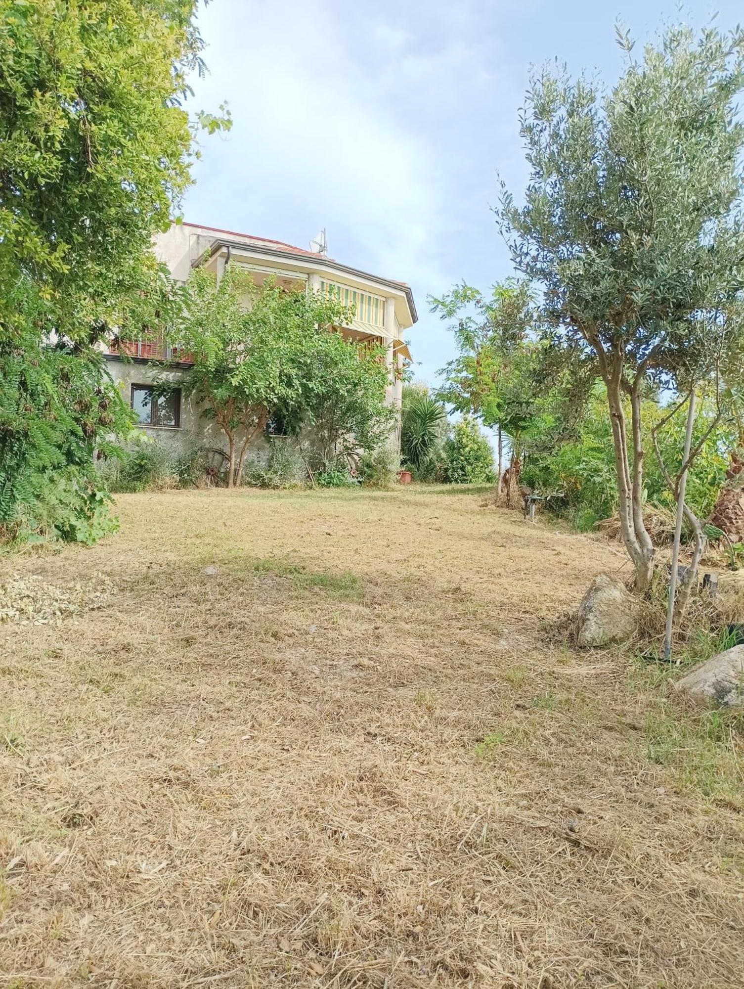 Palapico Hotel Bonifati Exterior foto